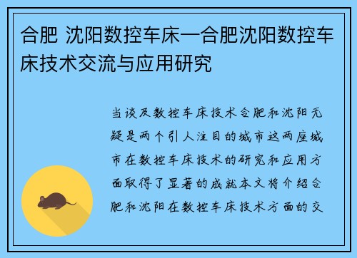 合肥 沈阳数控车床—合肥沈阳数控车床技术交流与应用研究